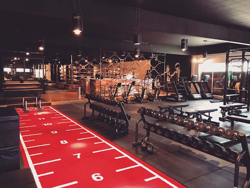 eGym training bij Brooklyn Gym Schulen in Herk-de-Stad