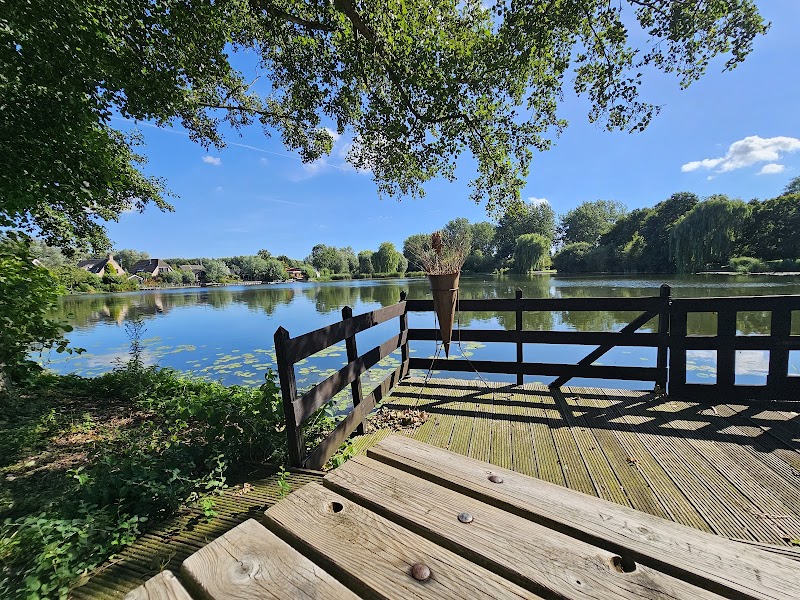 M. Point Life Style Center — Milon Cirkeltraining in Spijkenisse