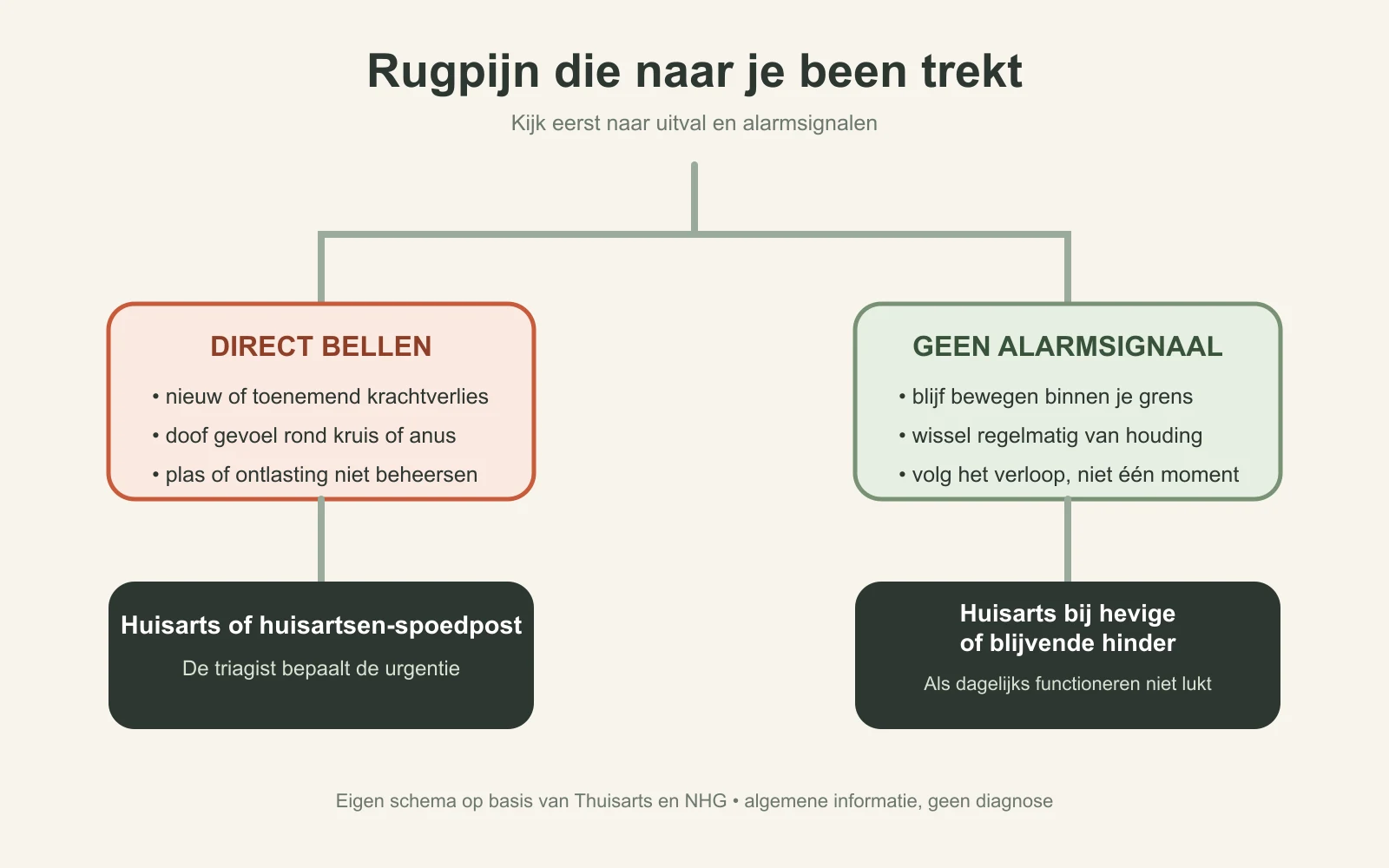 Beslisboom met alarmsignalen en vervolgstappen bij rugpijn die naar een been uitstraalt