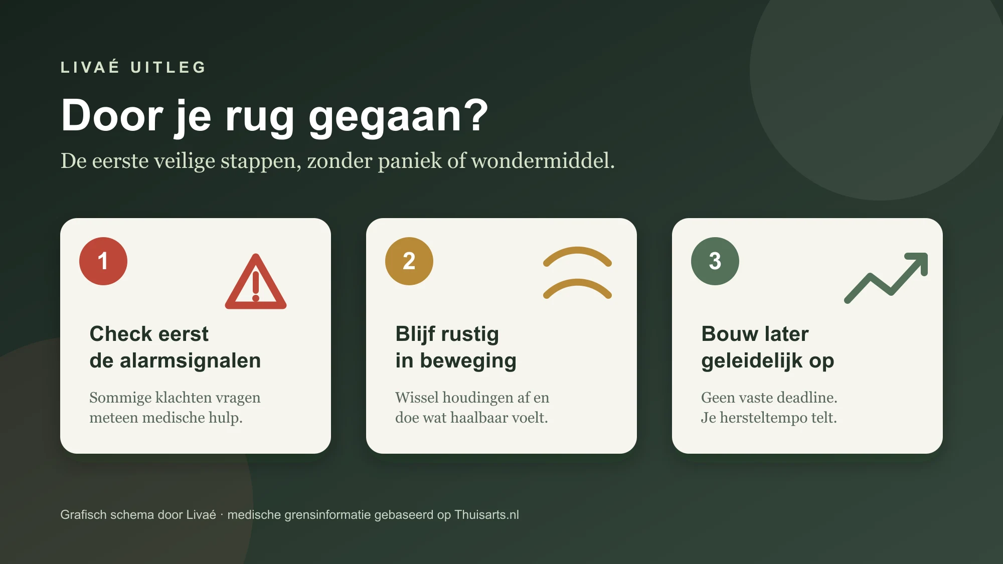 Grafisch stappenplan voor de eerste veilige stappen nadat het in je rug is geschoten